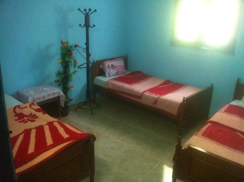 Hostel Bob Marley House Sherief Hotel Luxor