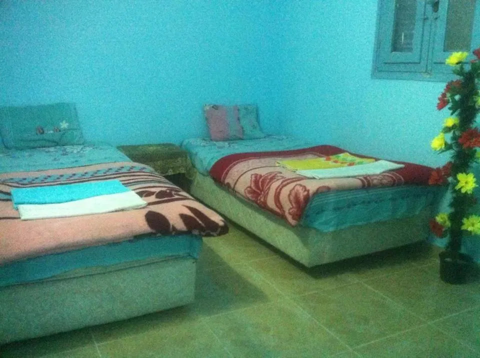 Bob Marley House Sherief Hotel Luxor Hostel